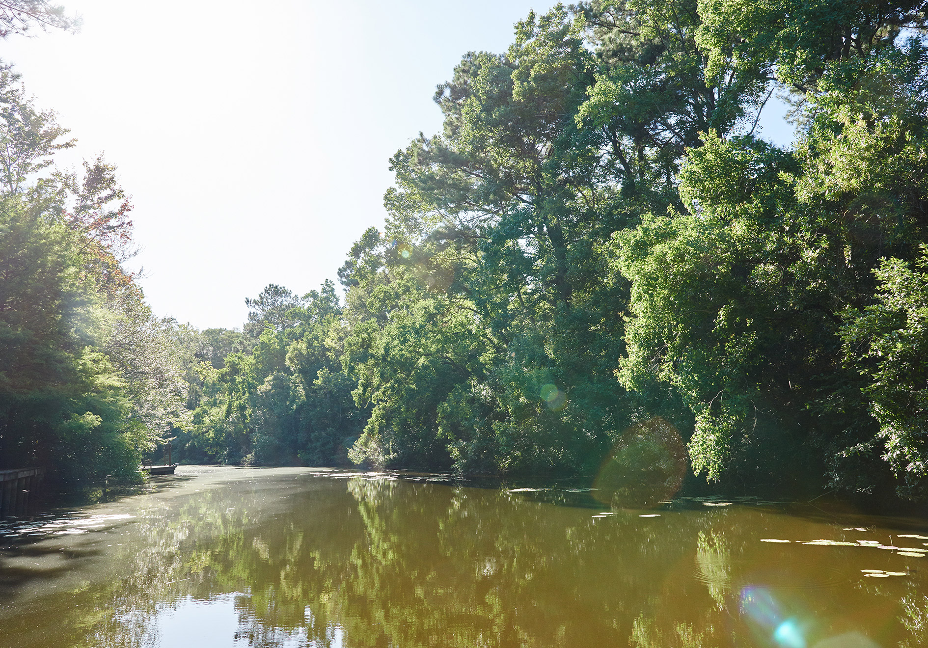 Northshore of Lake Ponchartrain